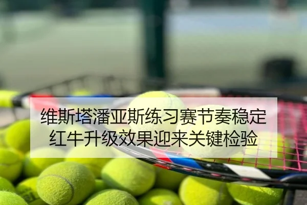 维斯塔潘亚斯练习赛节奏稳定 红牛升级效果迎来关键检验